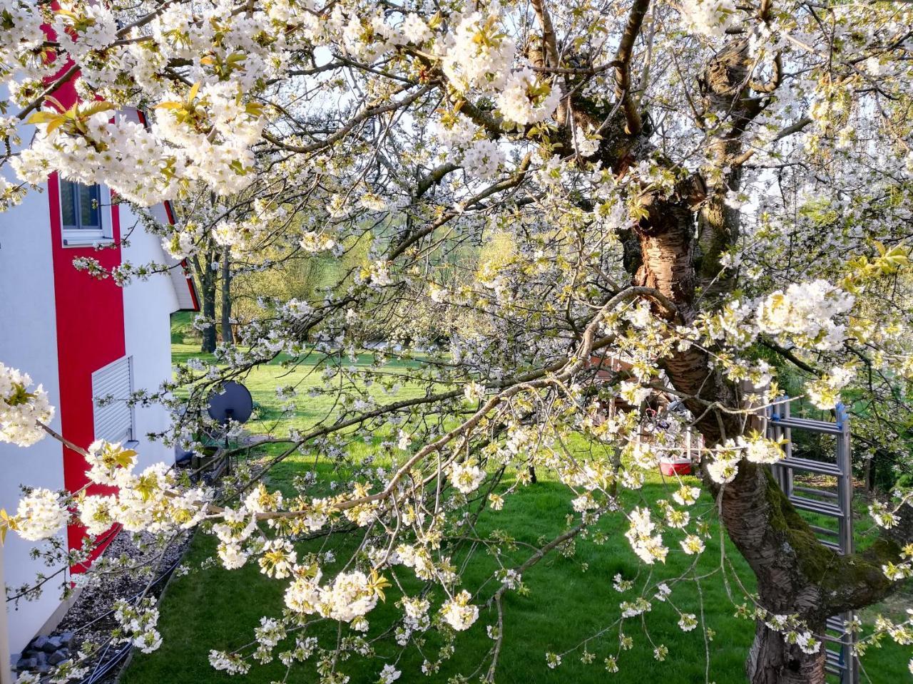 Ferienhaus Goermer Mit Wasserbett Schmölln Exteriör bild